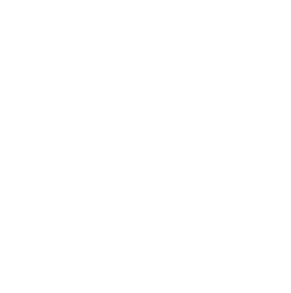 Zebra Logo