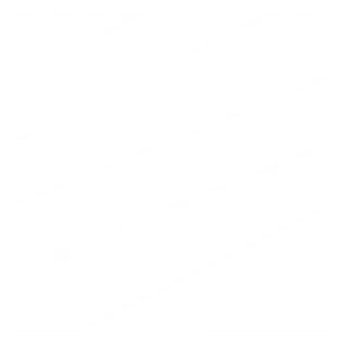 Zebra Logo